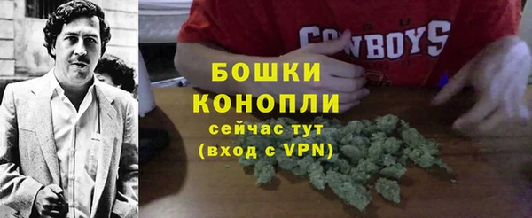 PSILOCYBIN Абаза