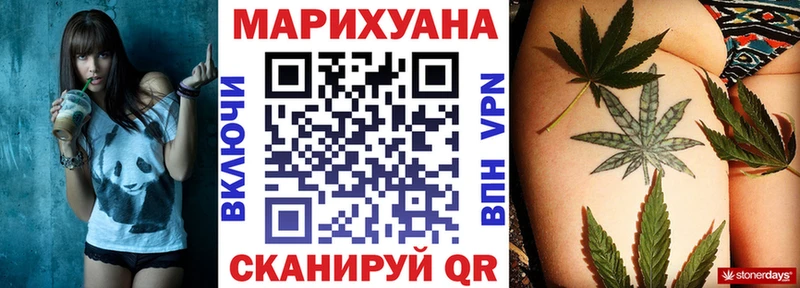 Бошки марихуана планчик  цены   Касимов 